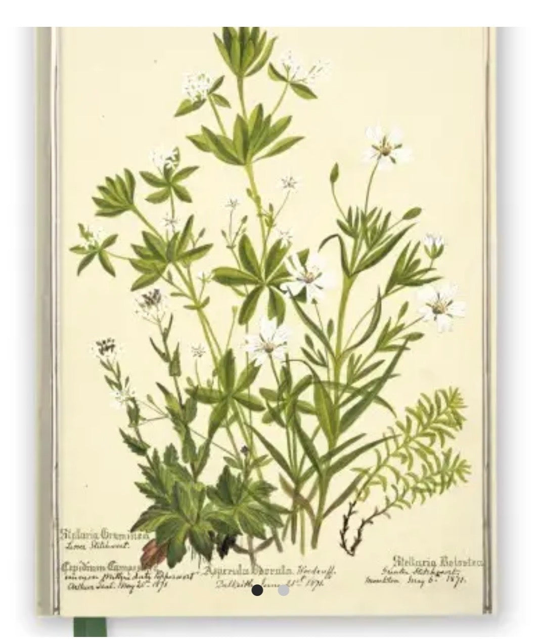 Magnetic Close Notebooks