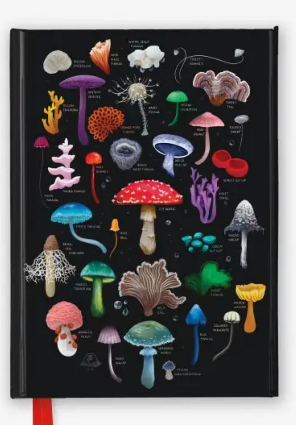Magnetic Close Notebooks